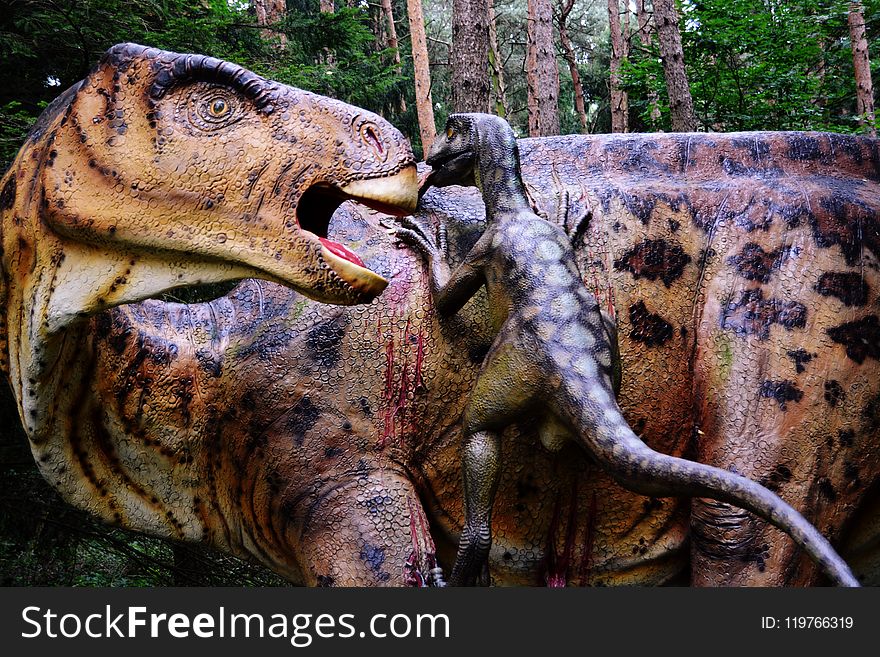 Dinosaur, Terrestrial Animal, Velociraptor, Organism