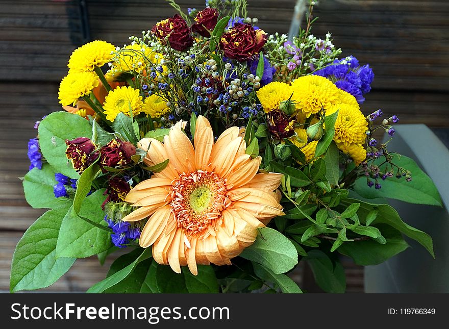 Flower, Yellow, Floristry, Flower Bouquet