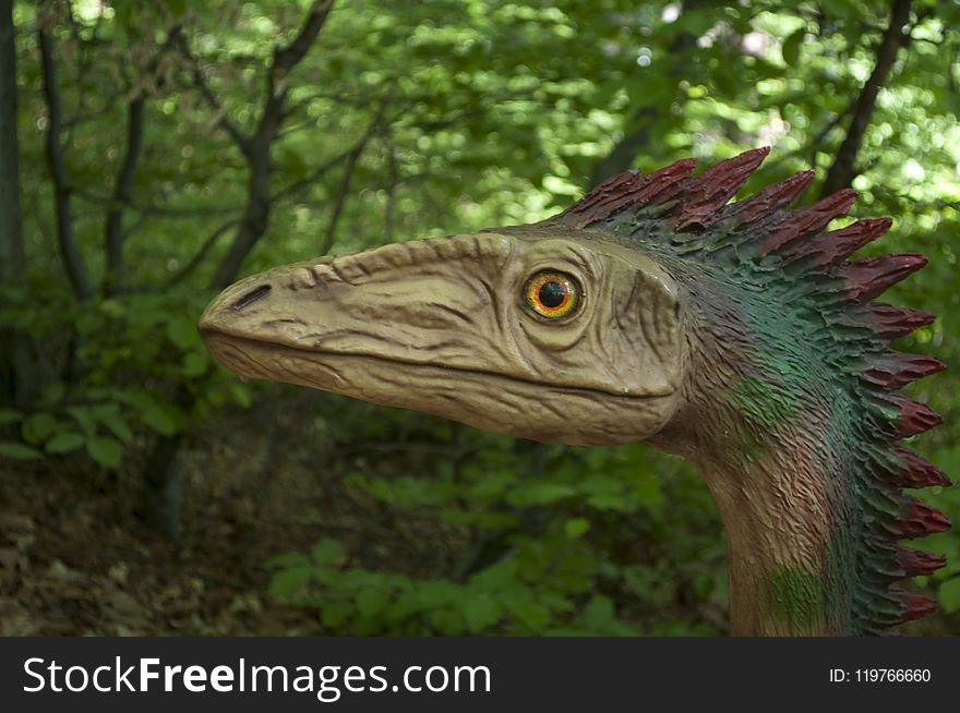 Ecosystem, Velociraptor, Fauna, Dinosaur