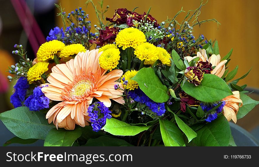 Flower, Flower Bouquet, Yellow, Floristry