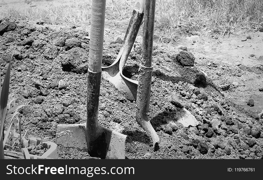 Black And White, Soil, Monochrome Photography, Tree