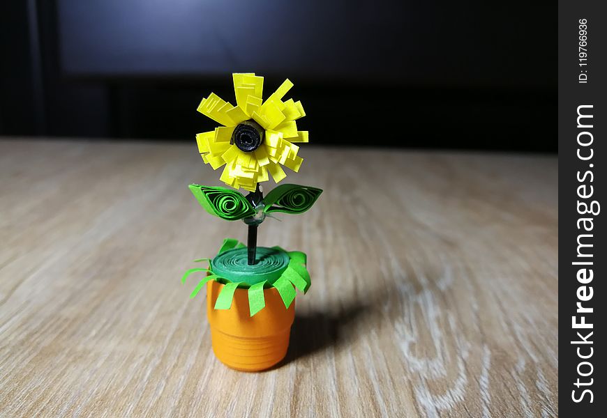 Yellow, Flower, Flowerpot, Plant
