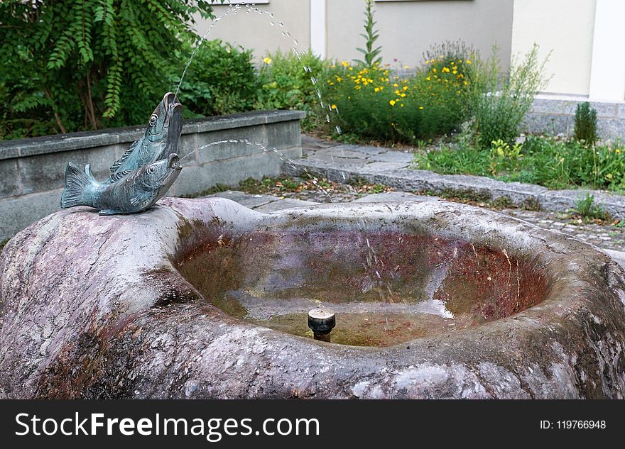 Water, Water Resources, Water Feature, Fountain