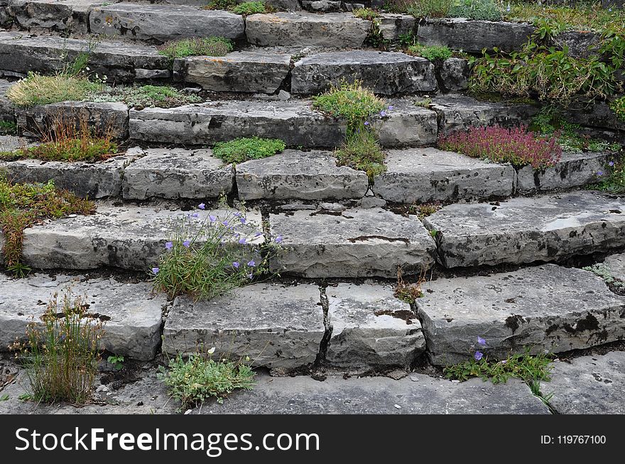 Wall, Stone Wall, Rock, Grass