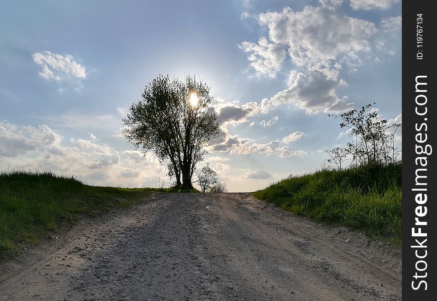 Road, Sky, Cloud, Tree