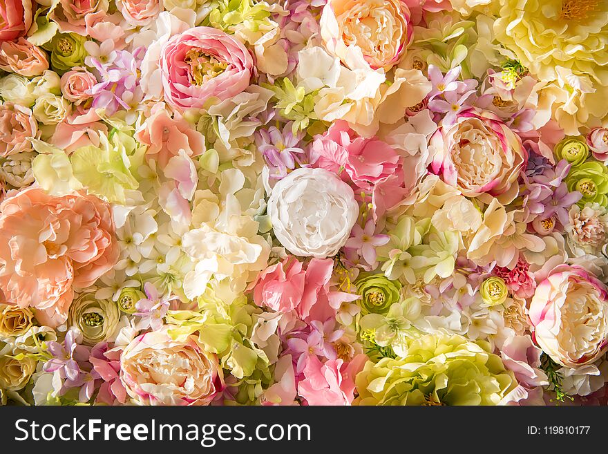 close-up view of beautiful floral background with tender elegant flowers