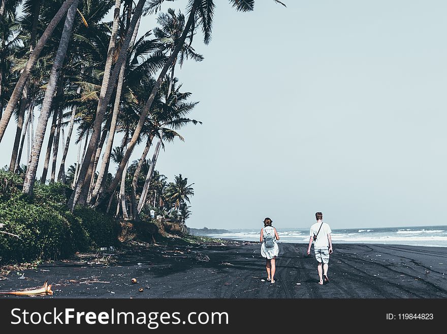Two People Walking By The Seashore