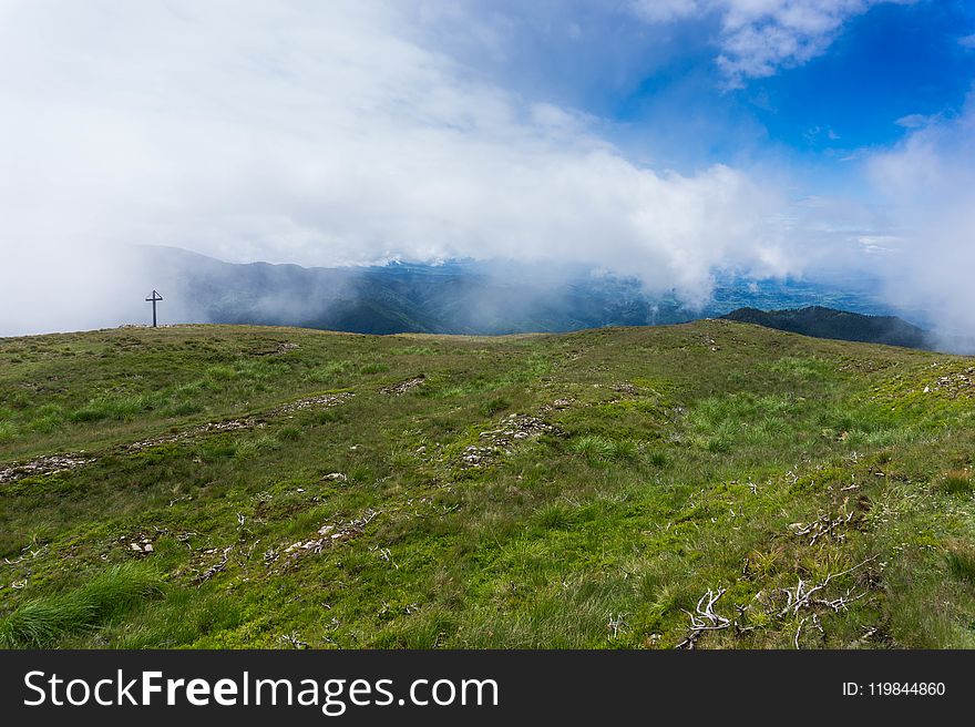 Grassland