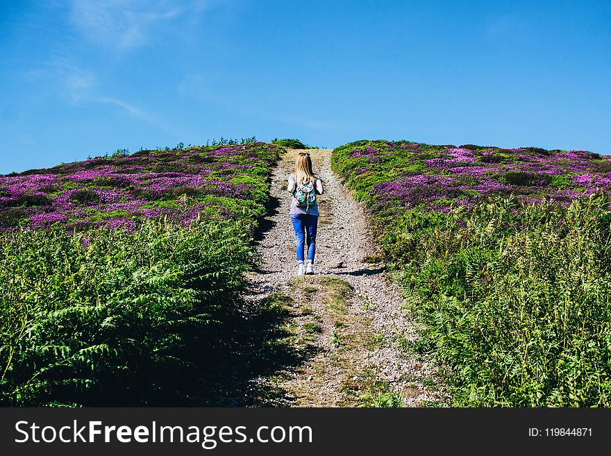 Woman Walking Alone in Between Purple Flower Field