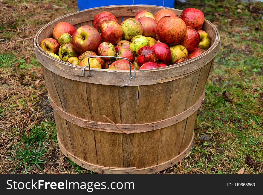 Fruit, Local Food, Produce, Apple