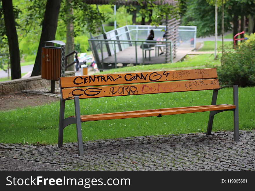 Furniture, Bench, Tree, Park