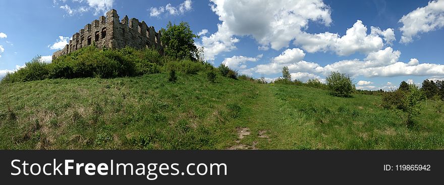 Sky, Ecosystem, Vegetation, Wilderness