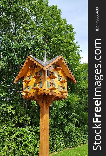 Tree, Bird Feeder, Wood, Outdoor Structure