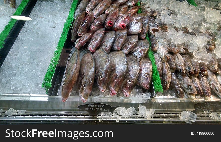 Fish, Fish Products, Animal Source Foods, Meat