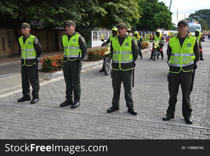 Police, Street, Tree, Police Officer