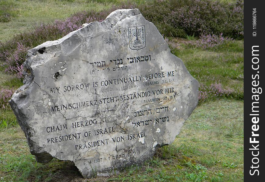Grave, Memorial, Headstone, Grass