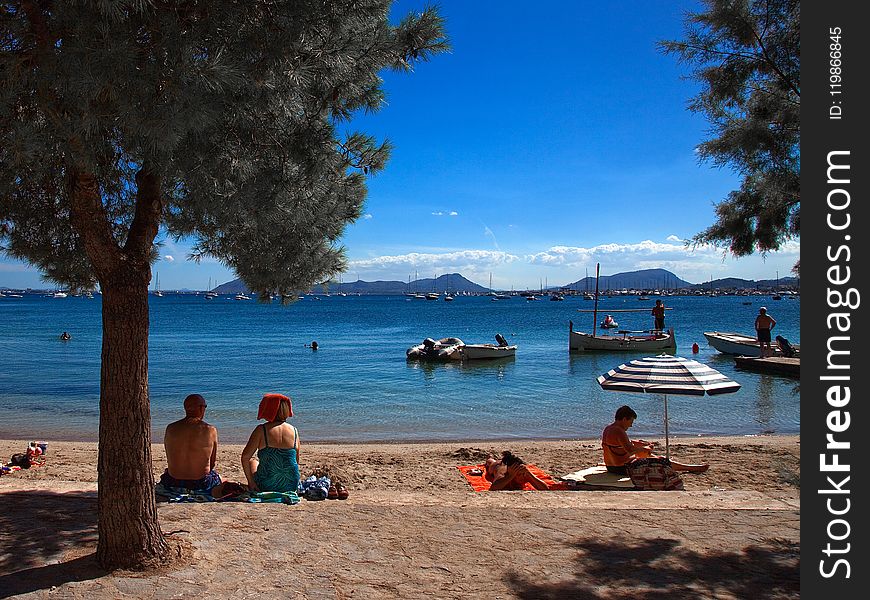 Sea, Beach, Sky, Water