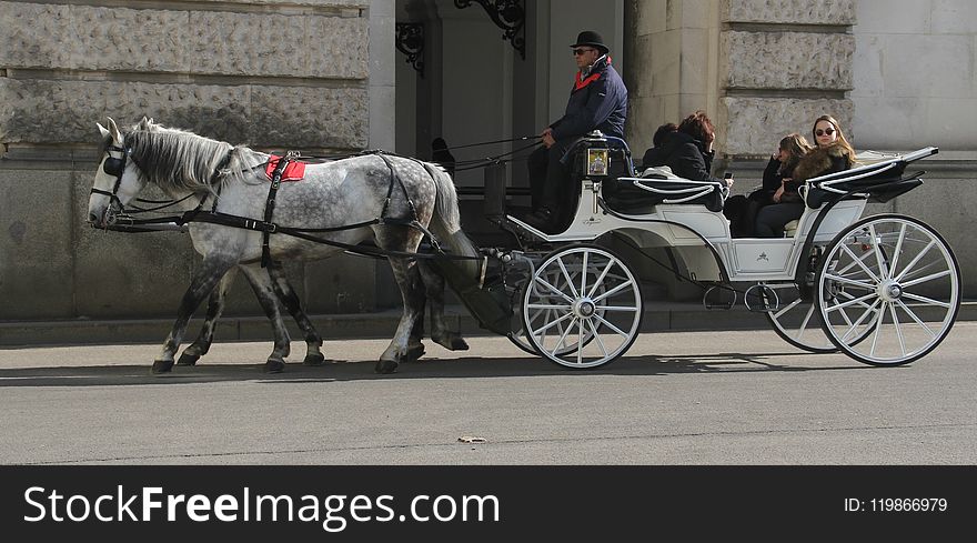 Carriage, Horse And Buggy, Horse Harness, Mode Of Transport