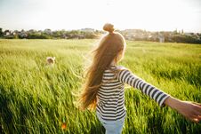 Children Playing Catch-up In The Green Field At Sunset. Stock Images