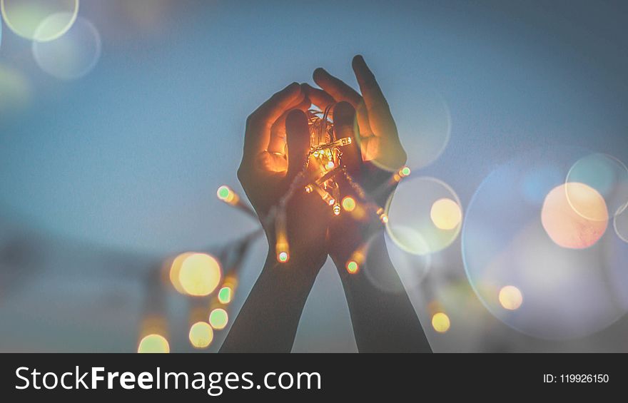 Person&#x27;s Hand With Light Bokeh