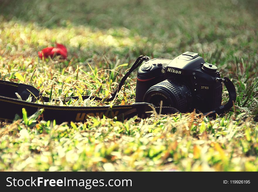 Black Nikon Dslr Camera on Ground