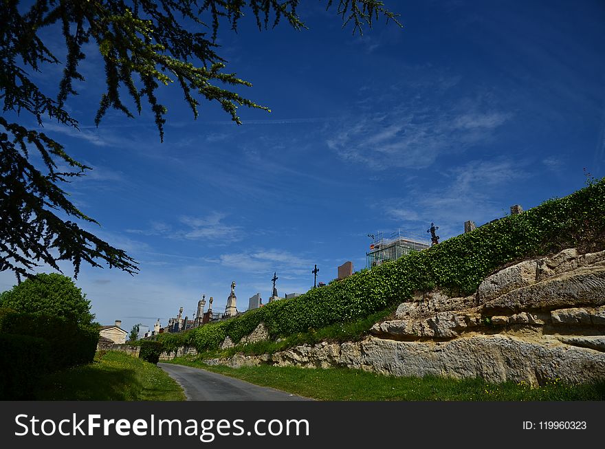 Sky, Vegetation, Tree, Road