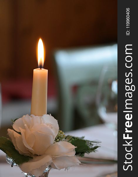 Candle, Flower, Lighting, Centrepiece