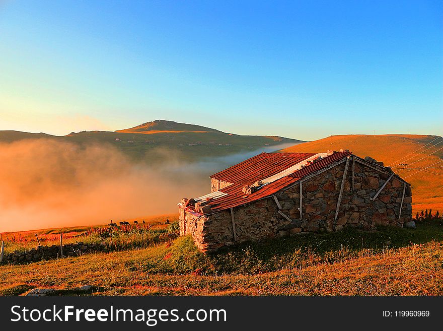 Sky, Field, Grassland, Dawn