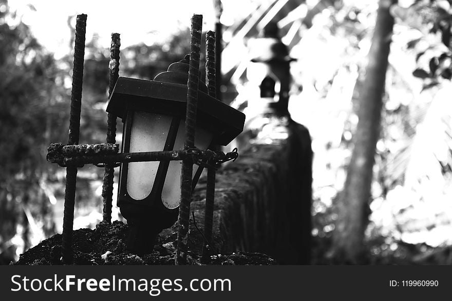 Black, Black And White, Monochrome Photography, Tree
