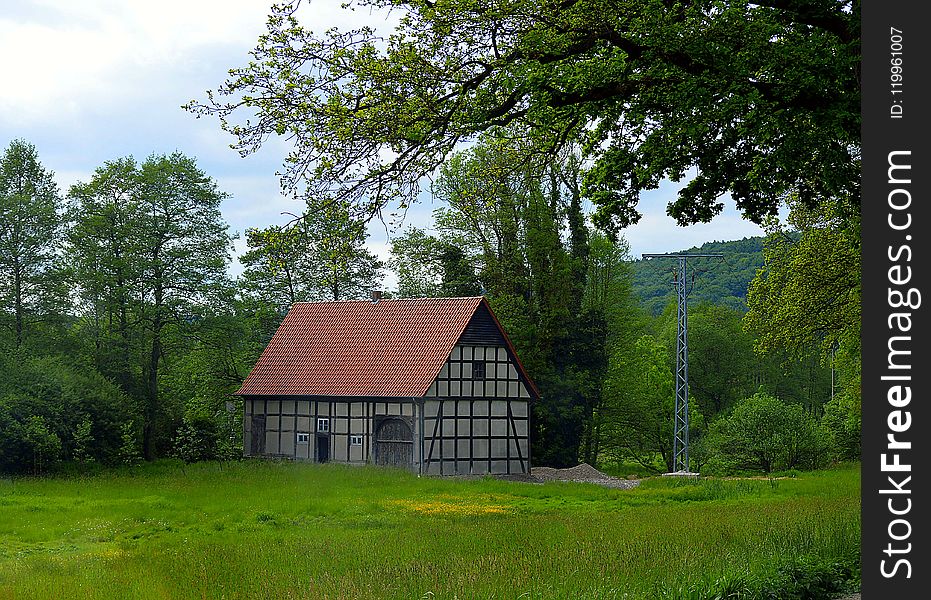 Nature, Green, House, Cottage