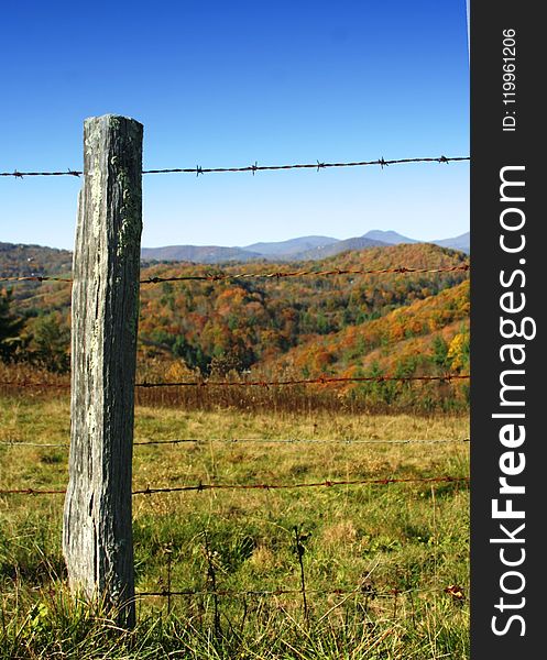 Grassland, Ecosystem, Sky, Prairie