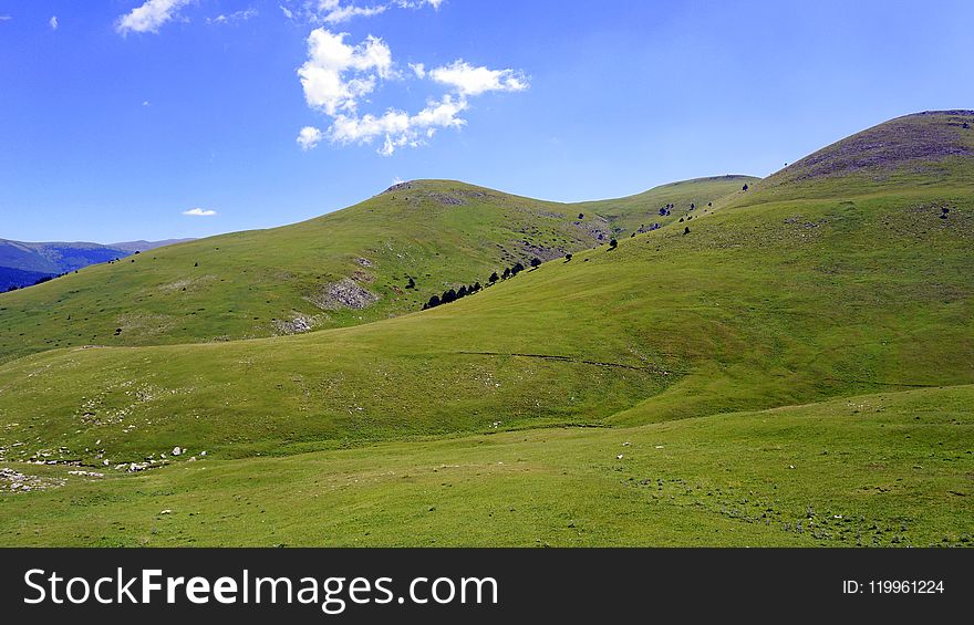 Grassland, Highland, Ecosystem, Hill