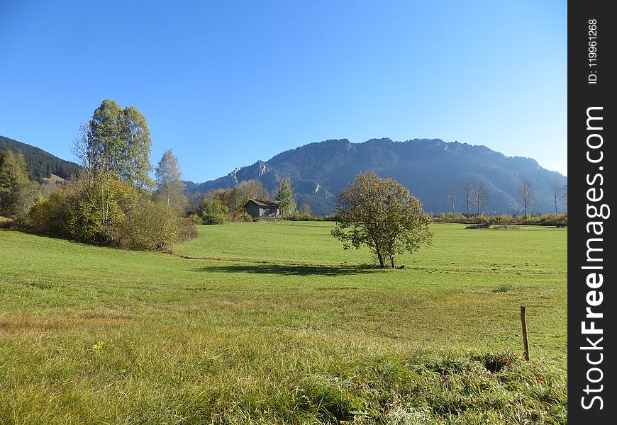 Grassland, Pasture, Nature, Sky