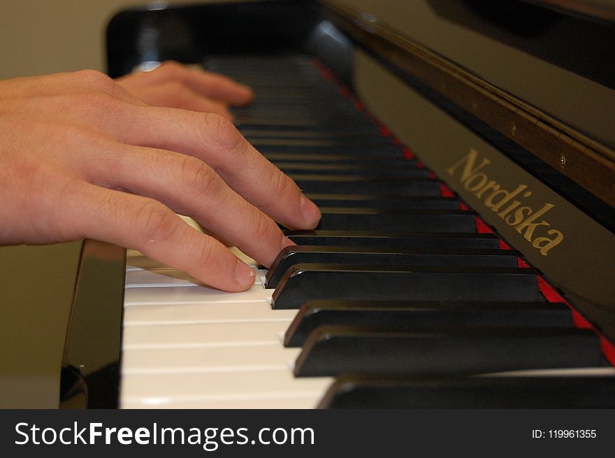Piano, Musical Instrument, Keyboard, Electric Piano