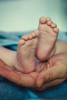 Baby Feet In Father Hands. Ded Or Grendfather, Grendmather And C Stock Photo