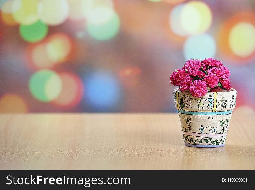 Shallow Focus Photography of Pink Flowers