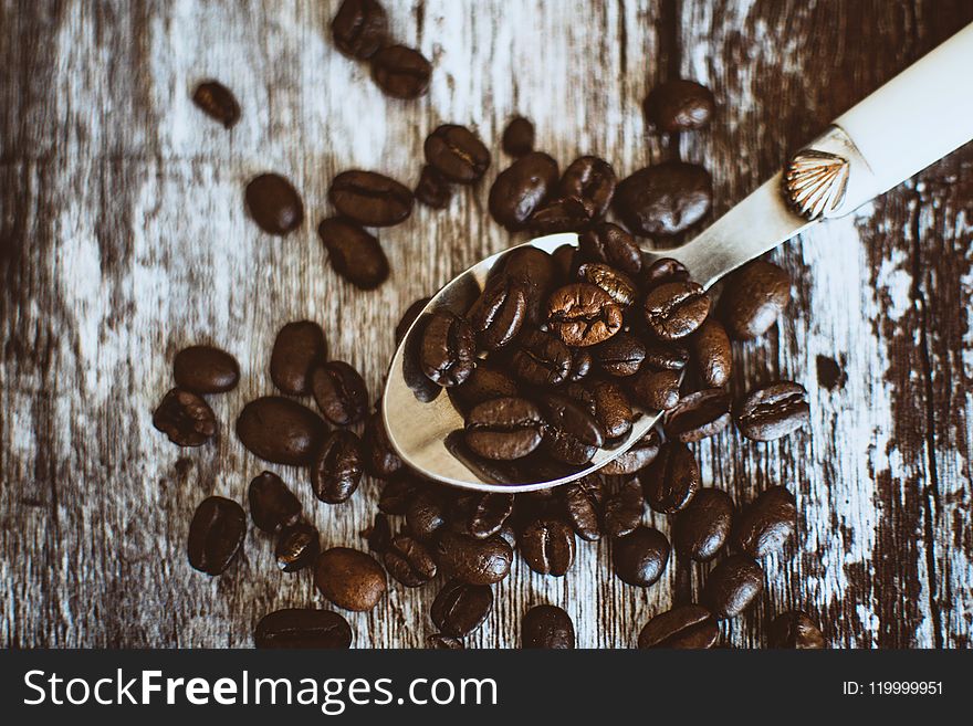 Coffee Beans on Stainless Steel Spoon