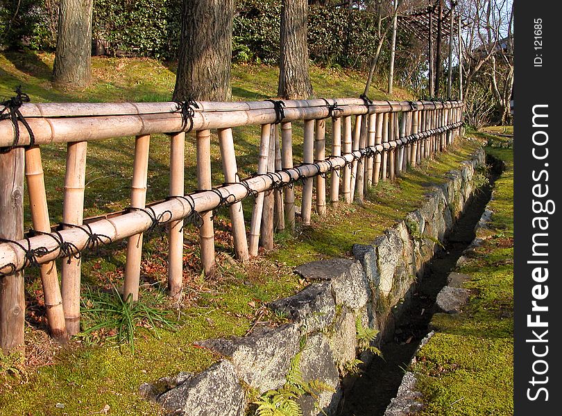 Bamboo fence perspective in a Japanese garden