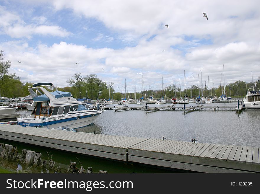 Boat in the harbour