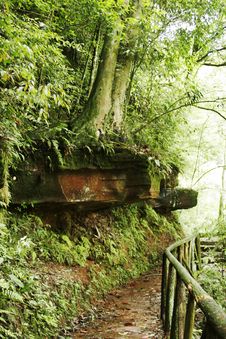 Chinese Mountain Forest Stock Photography Chinese Mountain Forest Stock Photography