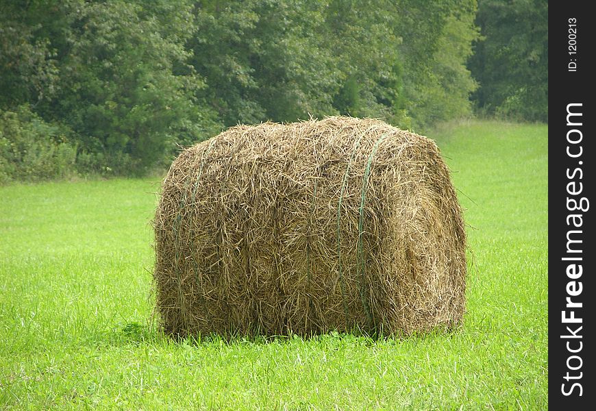 Bale of hay in a field. Bale of hay in a field