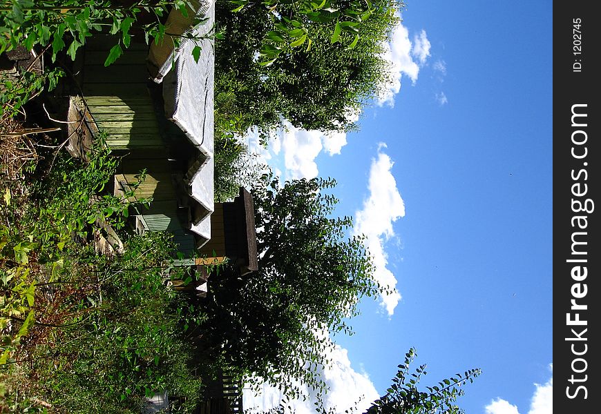 Beehives in a greeny garden