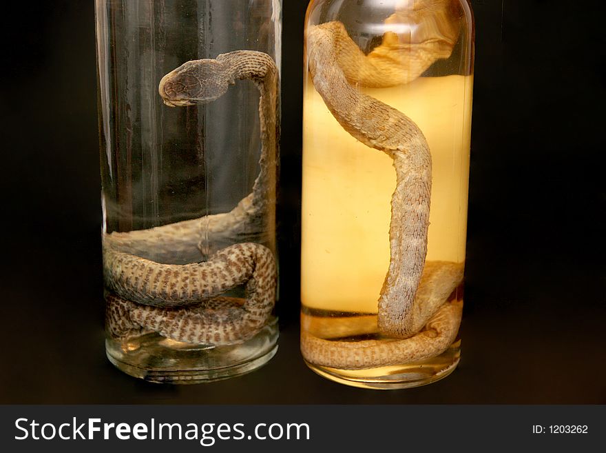 Two brandy of snake, drench