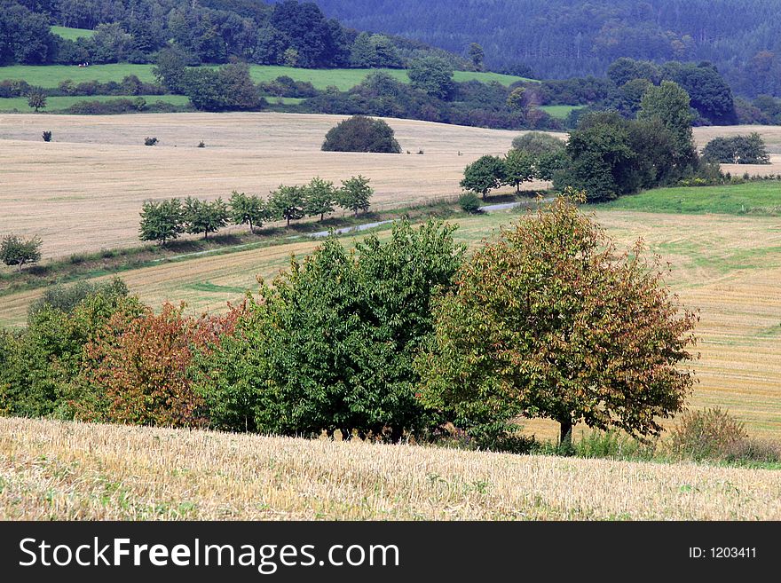 Autumn landscape, nice colored landscape.