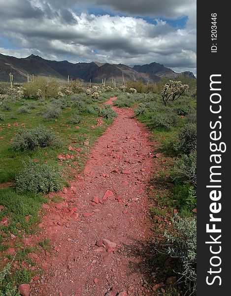 Rocky trail or path through the Arizona desert with mountains and cactus in the background. Rocky trail or path through the Arizona desert with mountains and cactus in the background