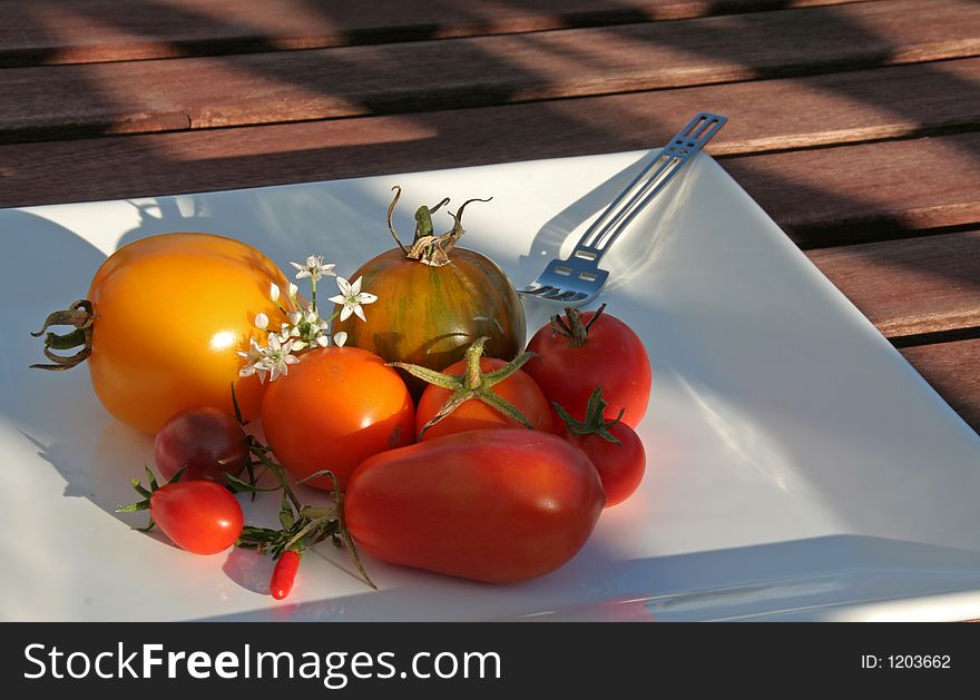 Variety of tomatoes on a plate in the evening sun, high depth of field. Variety of tomatoes on a plate in the evening sun, high depth of field