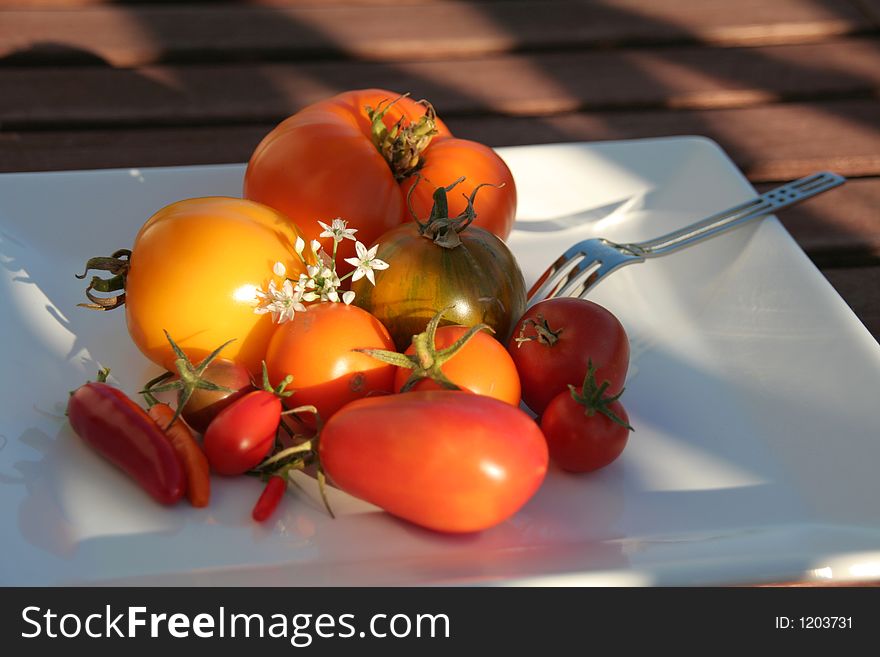 Variety of tomatoes on a plate in the evening sun, slightly blurred background. Variety of tomatoes on a plate in the evening sun, slightly blurred background