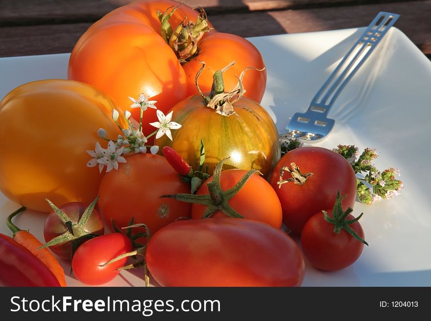 Variety of tomatoes on a plate in the evening sun. Variety of tomatoes on a plate in the evening sun