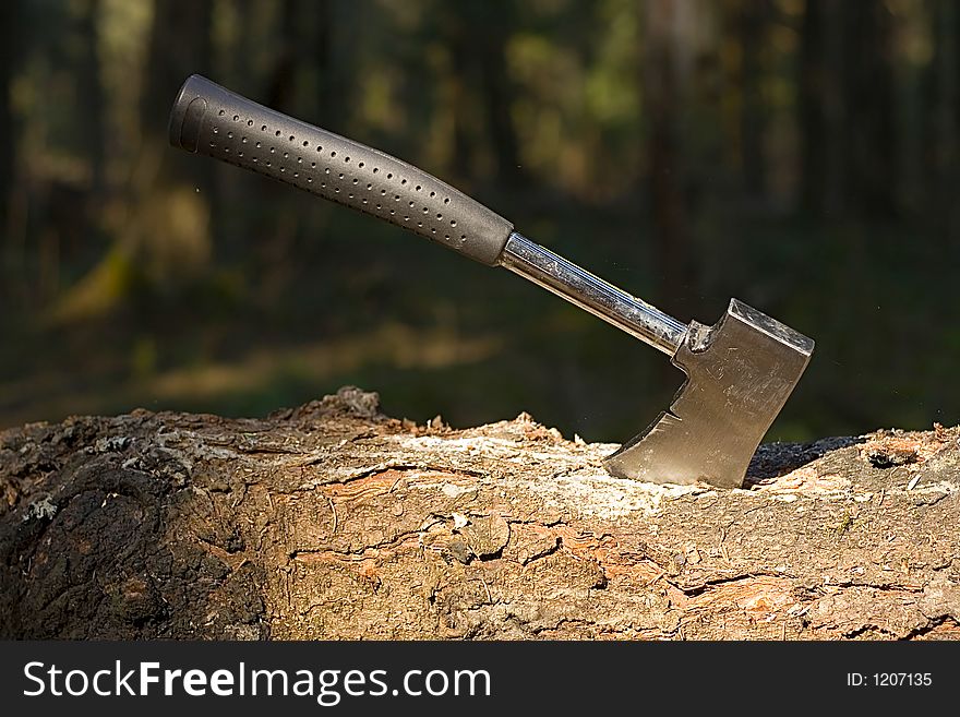 Wood axe sticked into a tree. Wood axe sticked into a tree