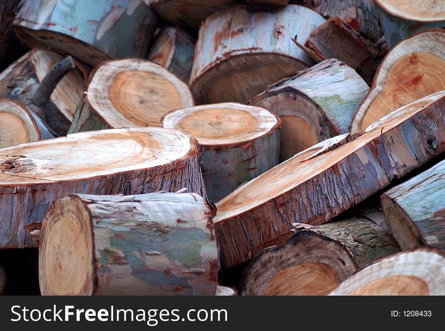 Pile of freshly chopped wooden logs